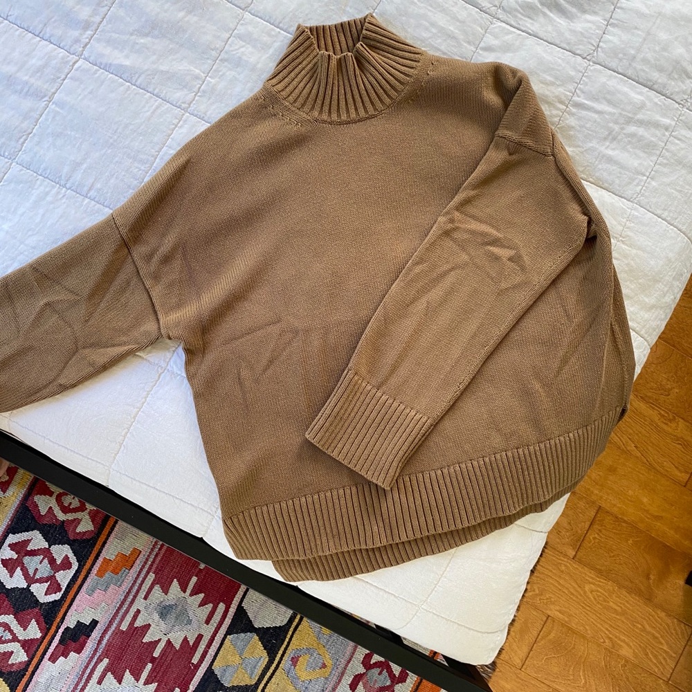 Everlane Cotton Square Turtleneck